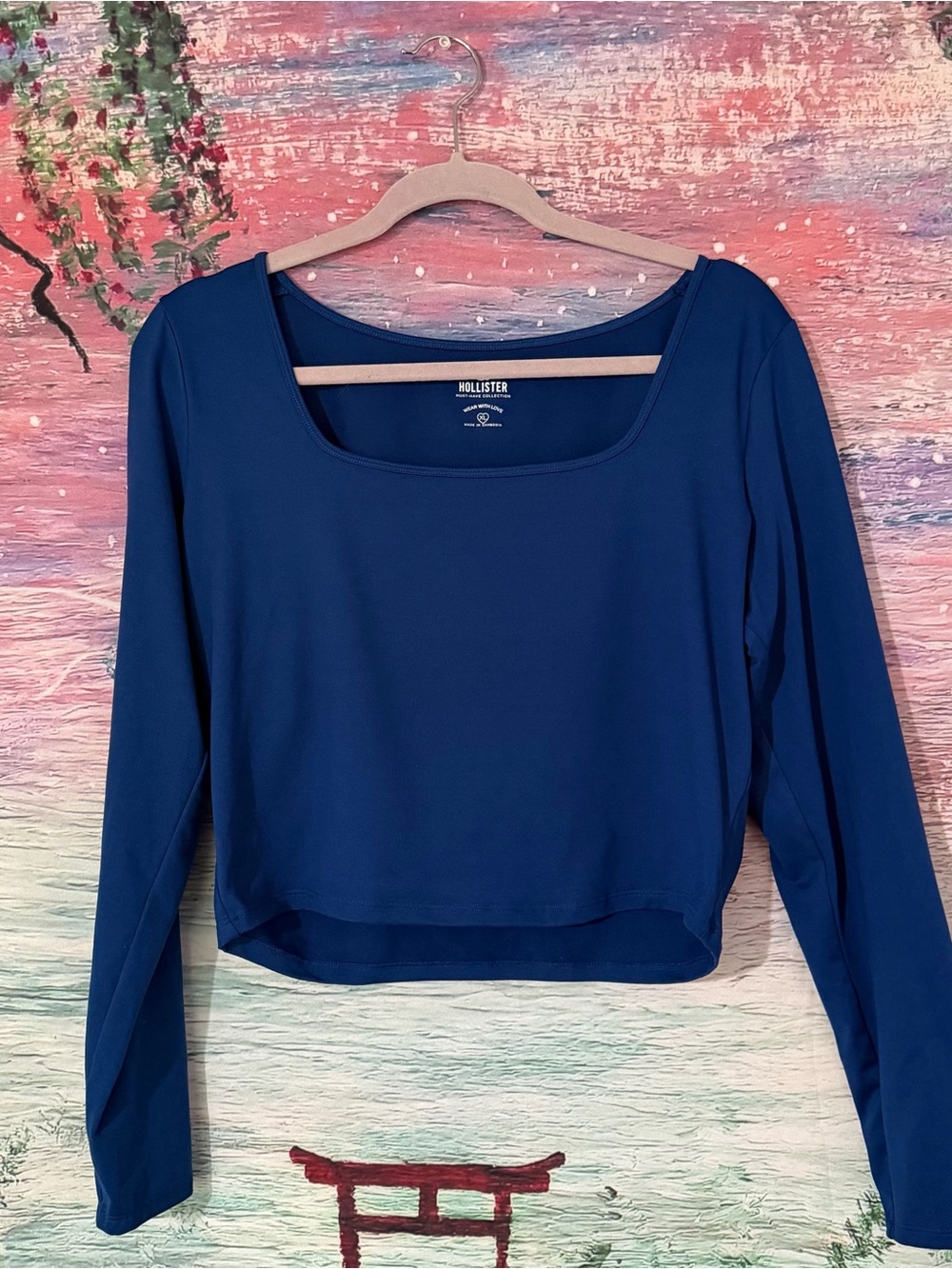 Hollister Women's Long-Sleeve Scoop Neck Crop Top - Navy Blue